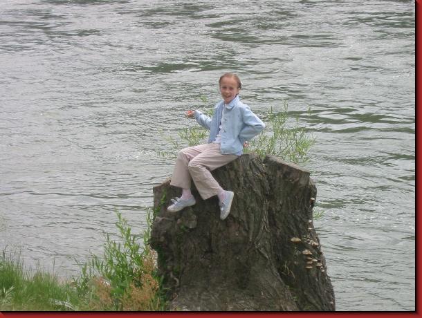 600x450 pixels (59,2K)