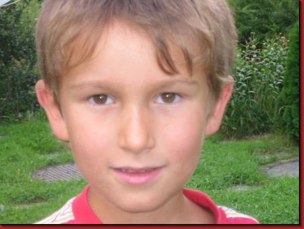 600x450 pixels (36,0K)